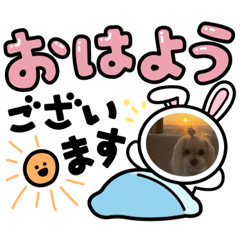 Alice_20211105151128