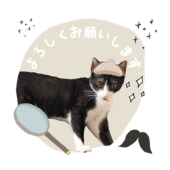tanuki_20211105155051
