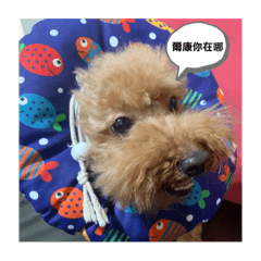 生活日常好玩就好