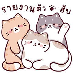 Cat gang so cute