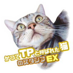 Radiant Dueling Cat`s Sticker vol.EX