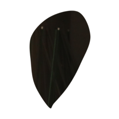 kong_20211105173347