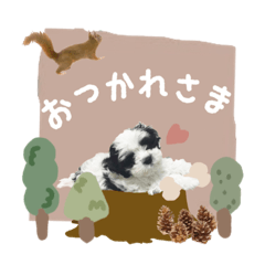 tanuki_20211105182045