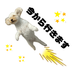 yukari_20211105194723