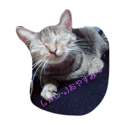 my cat!!!!