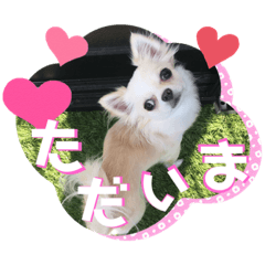 rina_20211105214440