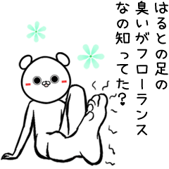 Haruto Name bear funny Sticker