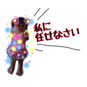 risasutanpu
