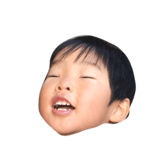 Haruta N