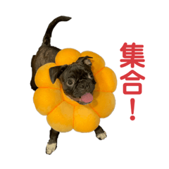 熊熊的無憂無慮日常☆第四彈★