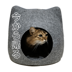 akira_20211105214055