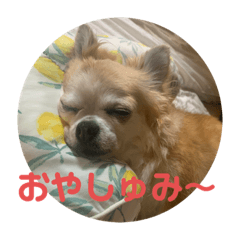 chisa_20211105234010