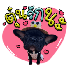 Iamnook_20211106004903