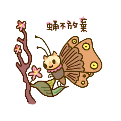 貓臉毛毛蟲 - 蛹不放棄