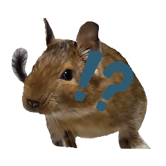 MIYUU_20211106131205