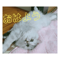 ton_20211106144148