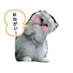 ton_20211106150441