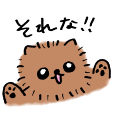 Pomeranian Daily Sticker