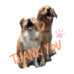 seira_20211106221819