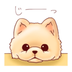 Ann_20211107110705