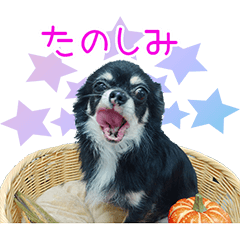 YUKAINANAKAMATACHI-Sticker