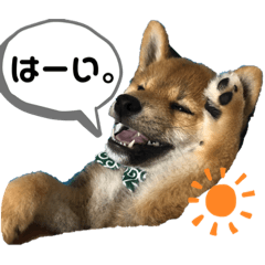 Risa_20211106192523