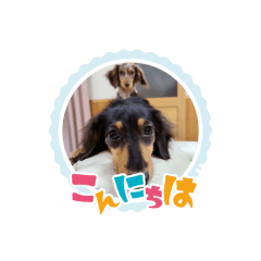 yuka_20211106202016