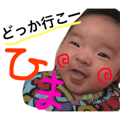 Senataooo