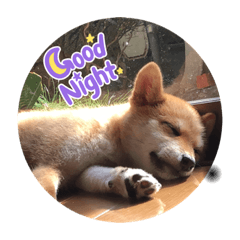 kosuke_20211106233454