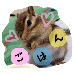 Sweet COCO chan