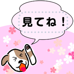 Junjun bird sticker message version