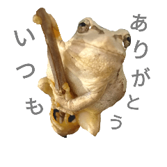 かわいいカエルからのごあいさつ Line スタンプ Line Store