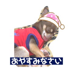 Aoi_20211107113343