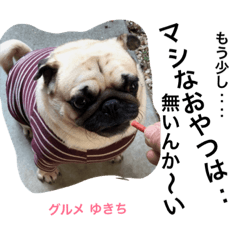 mambo pug dog yukichi's belly poko stamp