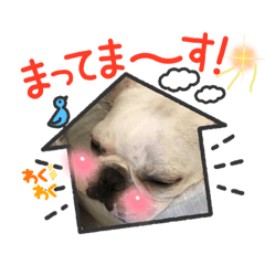 REI_20211107154028