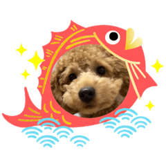 natuumi_20211107194040