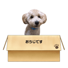 a.noriko_20211107235438