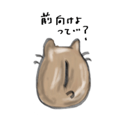 negative hamster