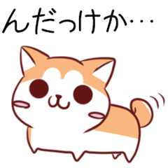 Akita dialect dog & ferret