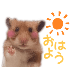 Ayumi_20211108002132