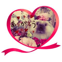 KAORI_20211108023657