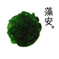 The sticker of marimo and cats.