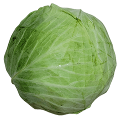 Food Series : Some Cabbage