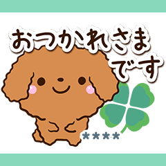 Toy poodle Red (Custom3)