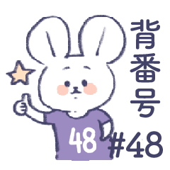uniform number mouse #48 purple
