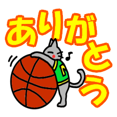 basket & cat