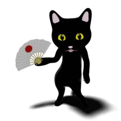 Black cat Fookichi