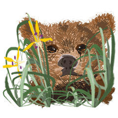 Happy Alaskan Brown Bear Rainier World