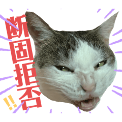 emily_20211108143925