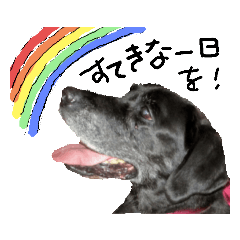 Labrador mafu part5 greeting sticker